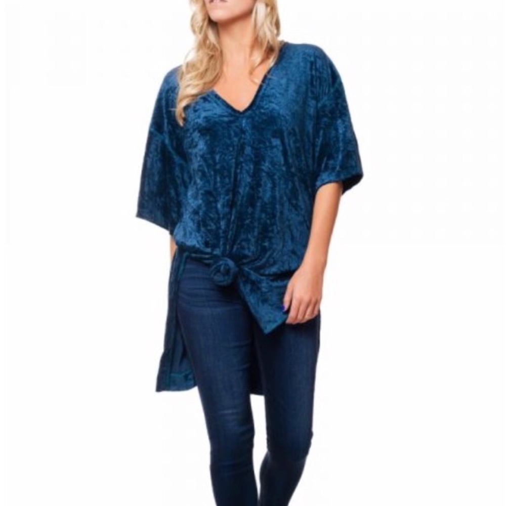 Free People Sumptuous Velvet Top